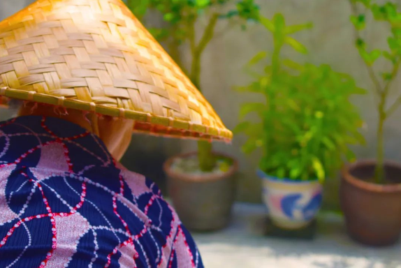 白內障手術(shù)